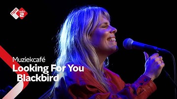 Blackbird - Looking For You | NPO Radio 2