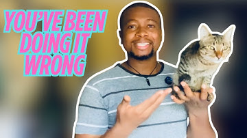 How to Pick Up a Cat the RIGHT Way 🐾 | Stop Hurting Your Cat Without Knowing It!