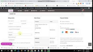 E-commerce Website Preview with Wordpress Net Worth