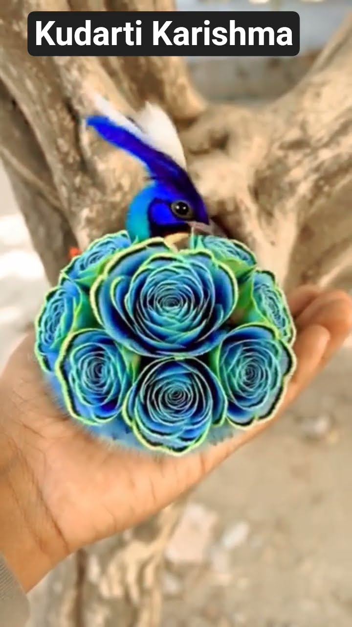 🕉 शिव भजन🙏 - ShareChat