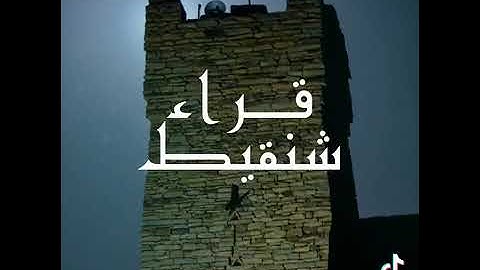 تلاوة عجيبة من أرض شنقيط