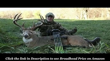 swhacker broadheads: swhacker is best expandable broadheads for hunters