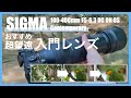 【作例あり】超望遠レンズの入門機？ SIGMA 100-400mm F5-6.3 DG DN OS | Contemporary レンズレビュー
