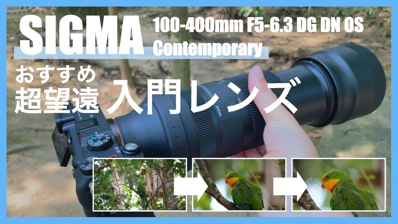 シグマ】大人気の超望遠！100-400 F5-6.3 DG OS HSMを試してみたっ