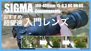 【作例あり】超望遠レンズの入門機？ SIGMA 100-400mm F5-6.3 DG DN OS | Contemporary レンズレビュー