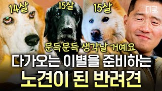 [#고독한훈련사] (50분) 어느새 훌쩍 지나가버린 반려견의 시간… 아무리 준비해도 쉽지 않은 이별💧 | #인기급상승