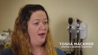 Happy Valley Vet Hospital - Brand Video // Lemonlight Media