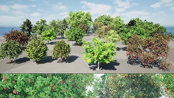 highly detailed Fruit Trees 3D animation in unreal engine