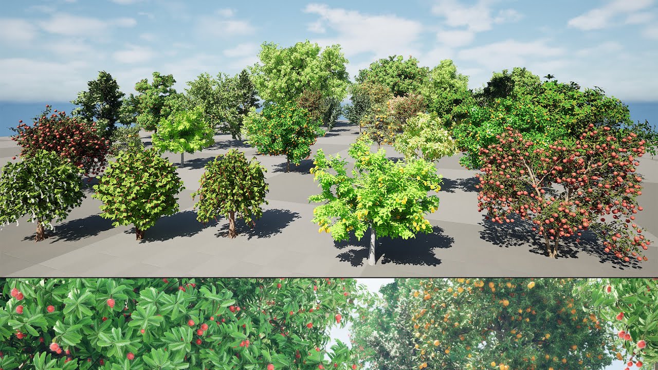 highly detailed Fruit Trees 3D animation in unreal engine - YouTube
