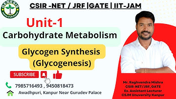 Metabolism of carbohydrates | Glycogen Synthesis | Glycogenesis | L-13