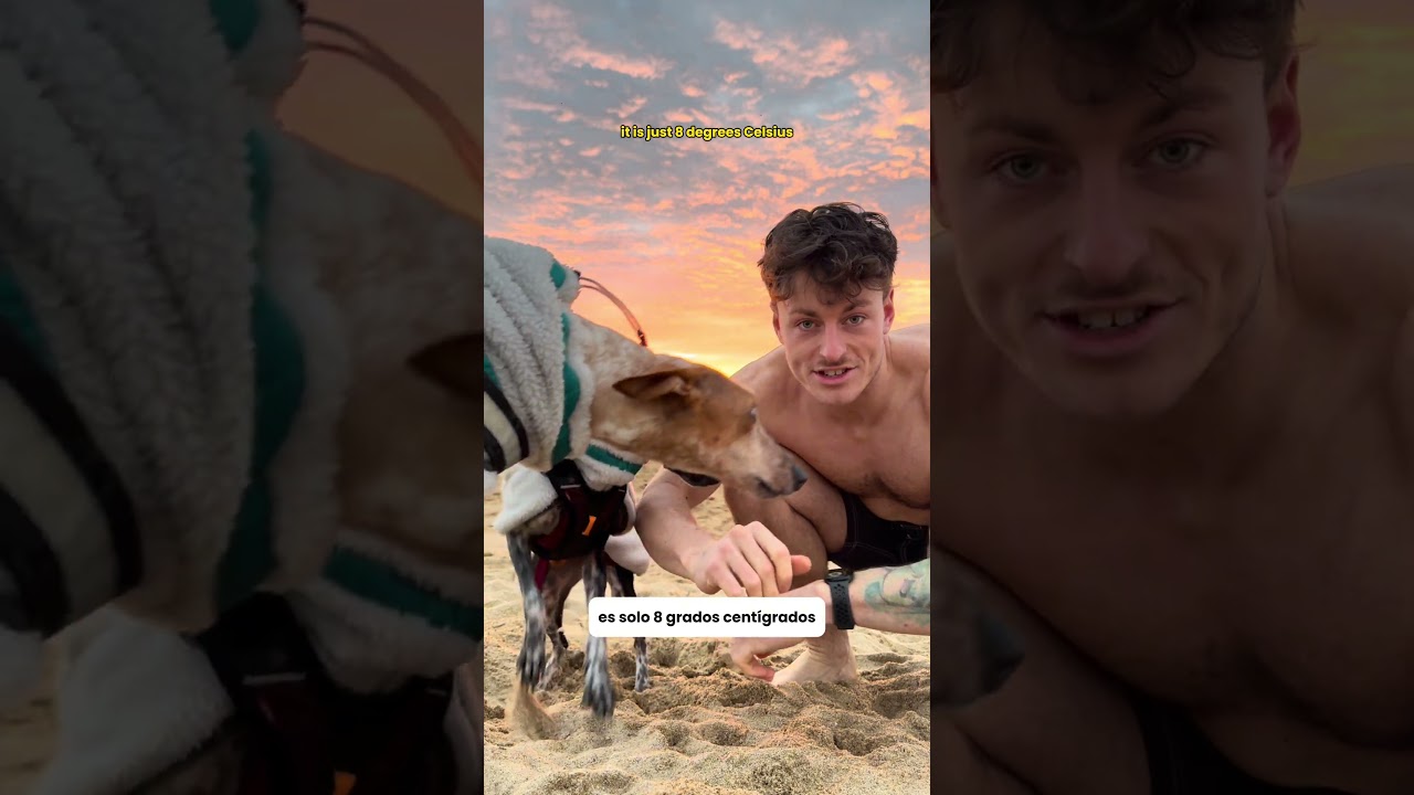 Favourite sunrise swim of 2026 so far