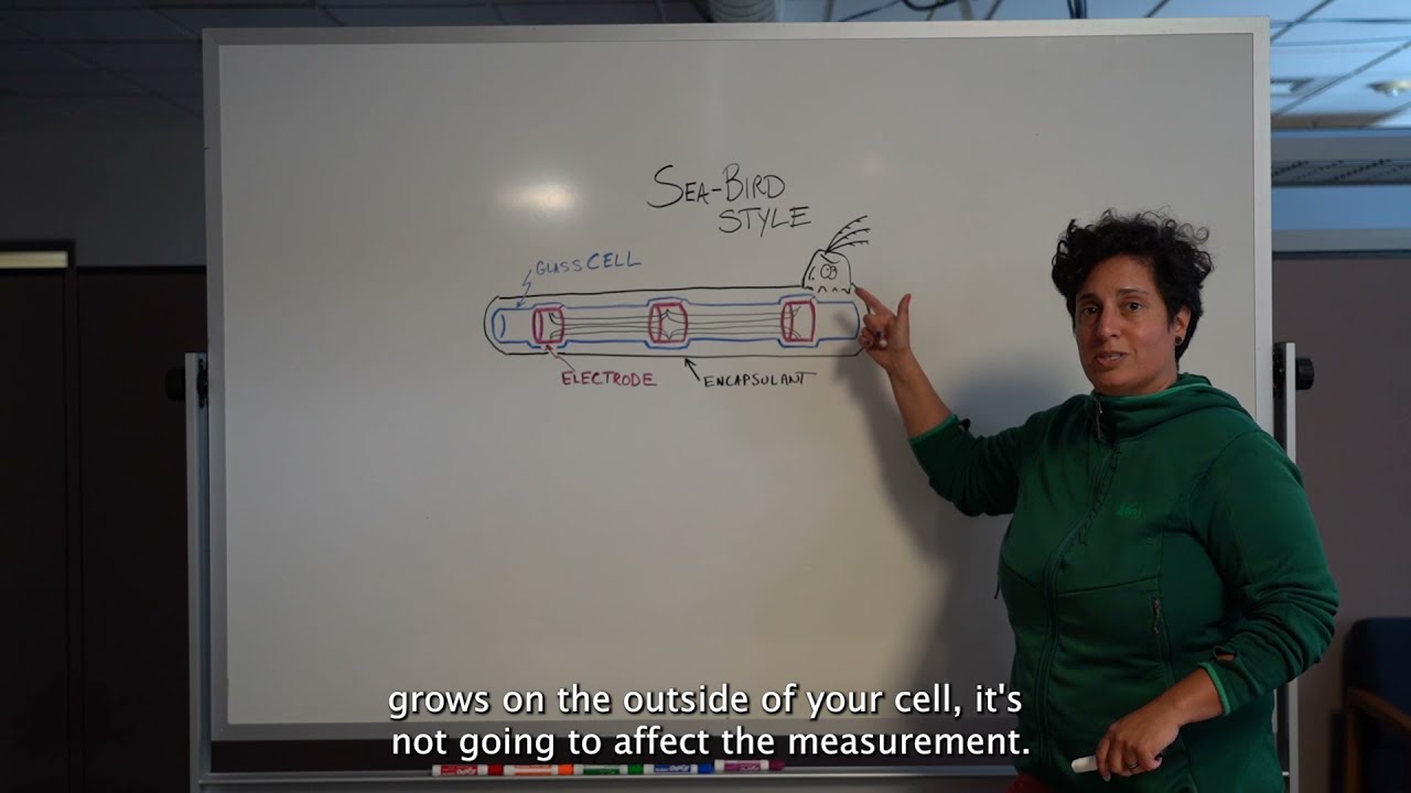 Sea-Bird Scientific Explained: Conductivity Cells with Dr. Kim Martini