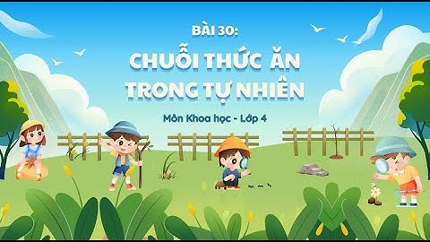 Bài 30: CHUỖI THỨC ĂN TRONG TỰ NHIÊN | Môn Khoa học - Lớp 4