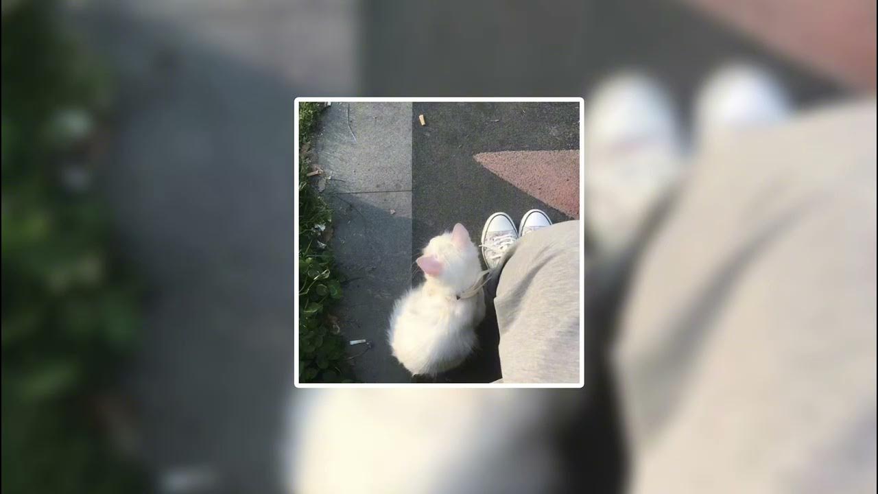 RebzyyxI’m so crazy for you [speed up] YouTube