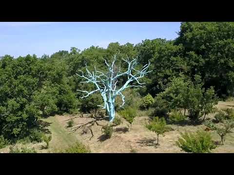 Présentation du domaine de Chêne Bleu