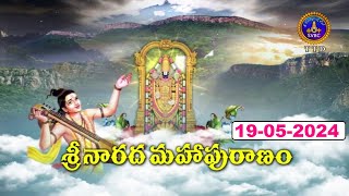 శ్రీనారద మహాపురాణం || Masavaisistyam Sri Narada Mahapuranam || 19-05-2024 || SVBC TTD || SVBC TTD