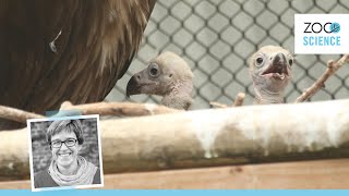 Monniksgieren Plots Met Vieren