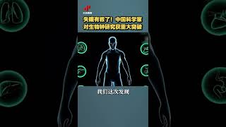 失眠有救了！中国科学家对生物钟研究获重大突破| 财经风云