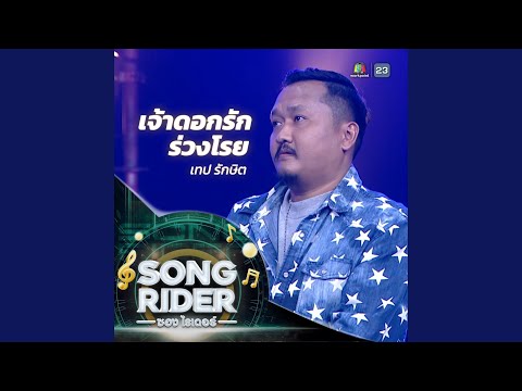 เจ้าดอกรักร่วงโรย (SONG RIDER Live Session)
