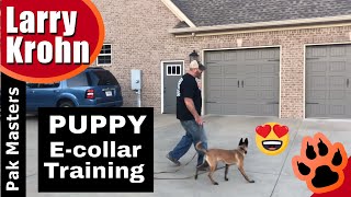 e collar training larry krohn