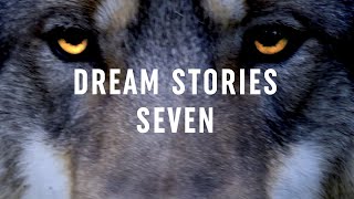 Details Dream Stories Episode 07 Update