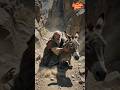 Why Did Balaam's Donkey Start Talking?#BibleStory #Balaam #TalkingDonkey #ChristianShorts#Faith #God