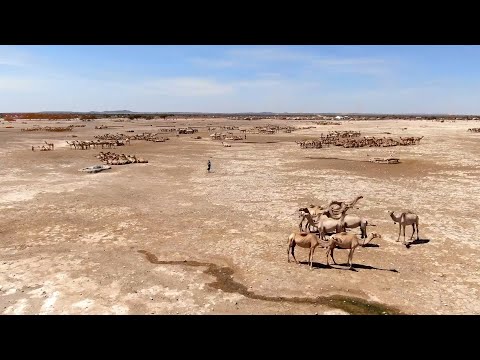 Ceelka Qadiimiga Ah Ee Shiniile
