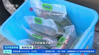[经济信息联播]海鲜陆养 建工厂添设施 陆养海鲜走进西北地区| 财经风云