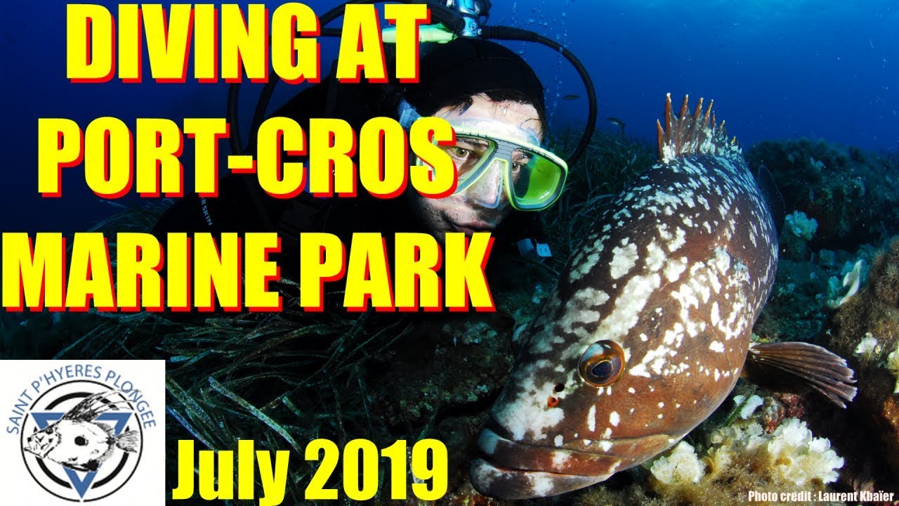 Scuba in Port-Cros Marine Park (France) : Barracudas and Groupers !
