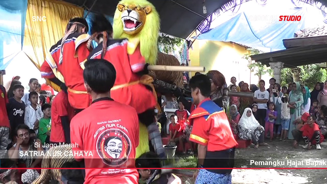 ATRAKSI SI JAGO MERAH SATRIA NUR CAHAYA