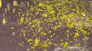 小阎王在线算命