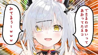【実写】同接2024人達成記念！お歳暮でいただいたカニ鍋を食す！ #猫元パト #VTuber