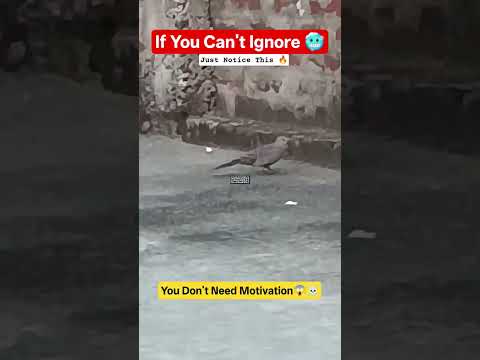 You Don't Need Motivation 🔥☠️
