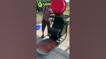 Bóc vỏ lạc vỏ đậu phộng cực nhanh #shorts