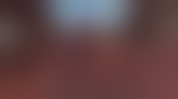 The TF2 Myg0t and royalhack bots