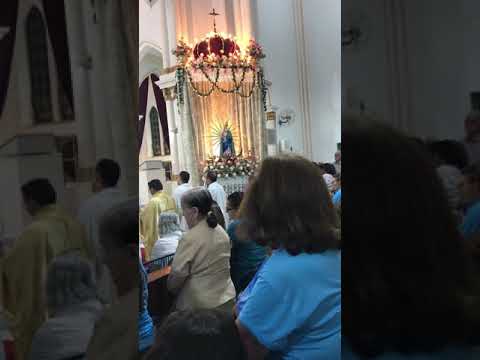 Ladainha de Nossa Senhora dos Remédios - Picos Piauí