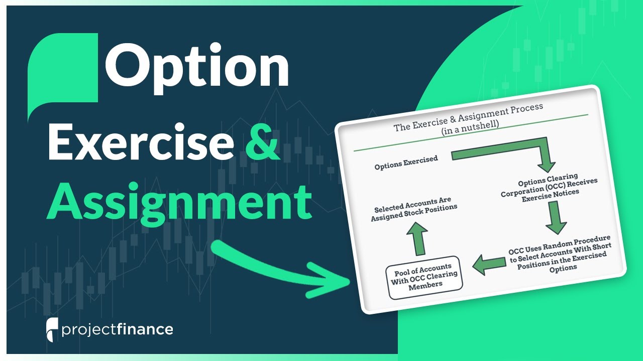 exercise assignment options