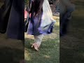 trending punjabi suit#shortvideo