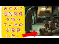 妻は目の前の恐ろしい真実に気づいた。