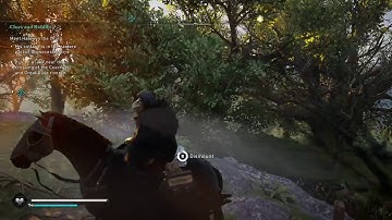 Clues & Riddles bug AC Valhalla