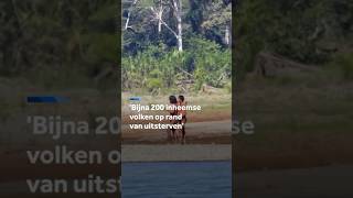 Thumbnail for 'Bijna 200 inheemse volken op de rand van uitsterven'