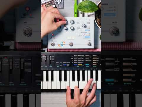 Sampling Skype Ringtone On An 80s Casio Keyboard Shorts
