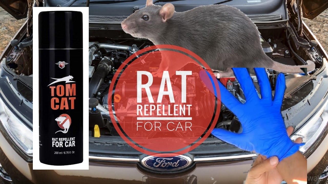 Rat Repellent for Car | How to use | - YouTube