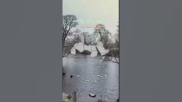 قارئ من كل دولة الجزء السادس قران كريم محمد رشاد الشريف فلسطين 