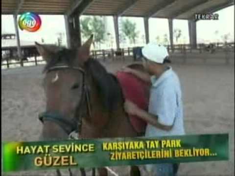 Tay Park Izmir Destimap Destinations On Map