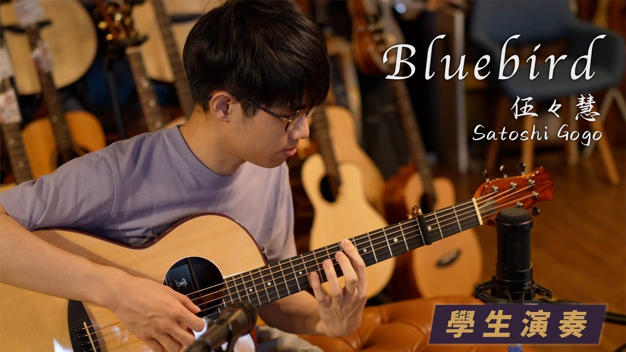 《Bluebird》 - 伍々慧｜Satoshi Gogo｜Guitar Fingerstyle Cover