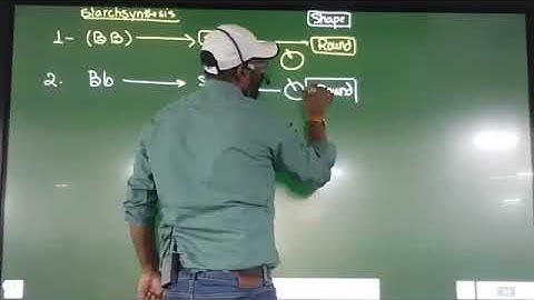 Principal of inheritance lec 5   principal of inheritance by Sunil Kumar   Genetic by Dr sunil kumar