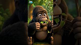 Kids Learn Brush Your Teeth ( Gorilla )| Dentist Song | Baby Cartoon #nurseryrhymes #shorts