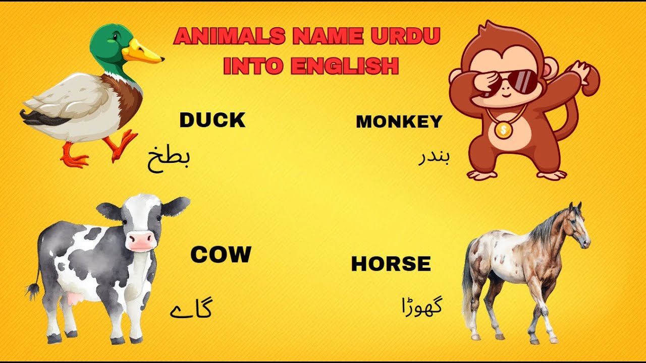 Learn Animal Names in Urdu and More جانور کے نام Animals for Kids