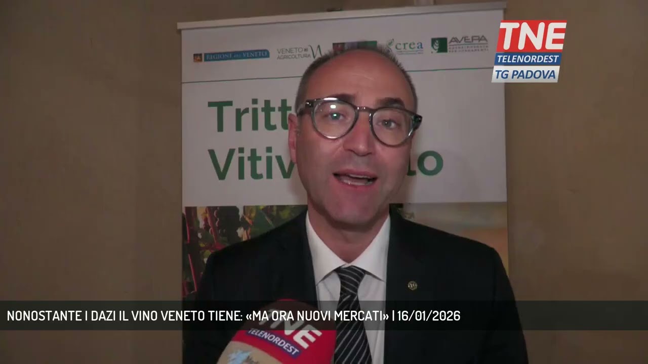 Несмотря на пошлины, вино Veneto держится на плаву: «Но теперь новые рынки» | 16 января 2026 г.